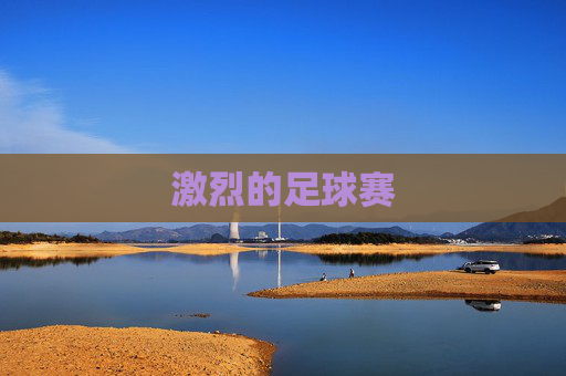 激烈的足球赛