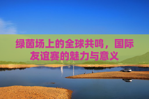 绿茵场上的全球共鸣，国际友谊赛的魅力与意义