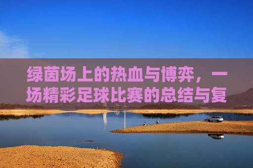 绿茵场上的热血与博弈,一场精彩足球比赛的总结与复盘