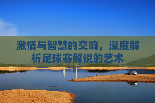 激情与智慧的交响，深度解析足球赛解说的艺术