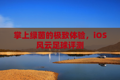 掌上绿茵的极致体验,iOS风云足球评测