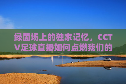 绿茵场上的独家记忆,CCTV足球直播如何点燃我们的热血