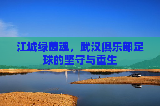 江城绿茵魂，武汉俱乐部足球的坚守与重生