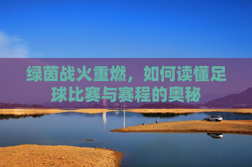 绿茵战火重燃,如何读懂足球比赛与赛程的奥秘