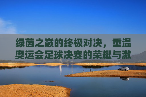 绿茵之巅的终极对决,重温奥运会足球决赛的荣耀与激情
