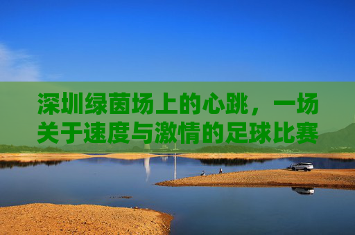 深圳绿茵场上的心跳,一场关于速度与激情的足球比赛