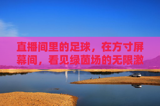 直播间里的足球,在方寸屏幕间,看见绿茵场的无限激情