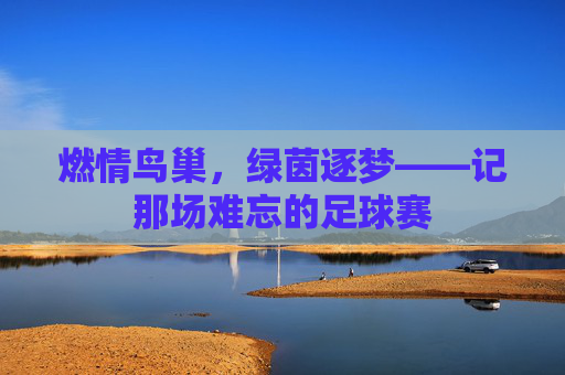 燃情鸟巢,绿茵逐梦——记那场难忘的足球赛