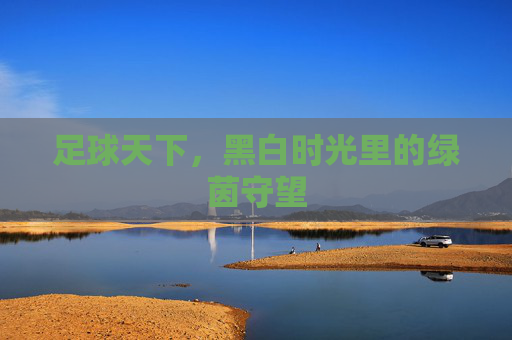 足球天下,黑白时光里的绿茵守望