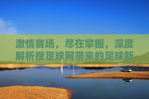 激情赛场，尽在掌握，深度解析搜足球网带来的足球新体验