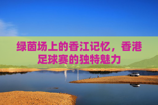 绿茵场上的香江记忆,香港足球赛的独特魅力