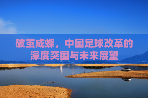 破茧成蝶,中国足球改革的深度突围与未来展望