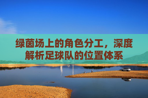 绿茵场上的角色分工，深度解析足球队的位置体系