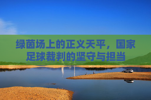 绿茵场上的正义天平,国家足球裁判的坚守与担当