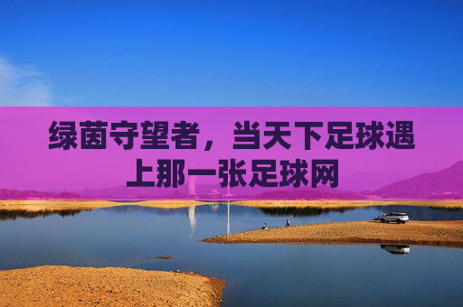 绿茵守望者，当天下足球遇上那一张足球网