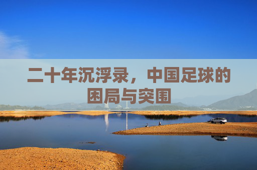 二十年沉浮录，中国足球的困局与突围