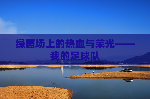 绿茵场上的热血与荣光——我的足球队