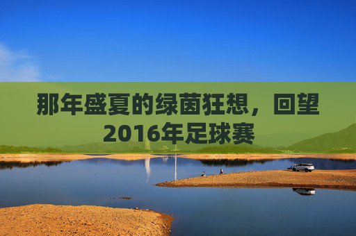 那年盛夏的绿茵狂想,回望2016年足球赛
