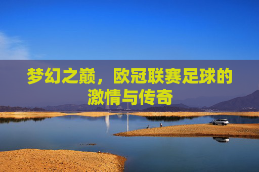 梦幻之巅，欧冠联赛足球的激情与传奇