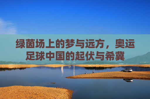 绿茵场上的梦与远方，奥运足球中国的起伏与希冀