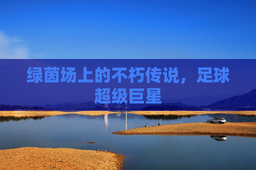 绿茵场上的不朽传说，足球超级巨星