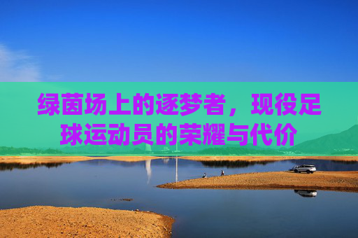绿茵场上的逐梦者，现役足球运动员的荣耀与代价