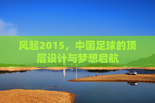 风起2015,中国足球的顶层设计与梦想启航