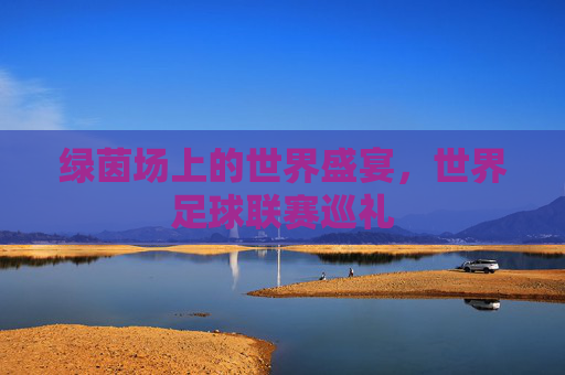 绿茵场上的世界盛宴,世界足球联赛巡礼