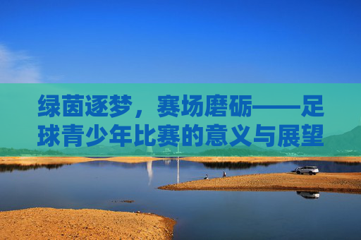 绿茵逐梦,赛场磨砺——足球青少年比赛的意义与展望