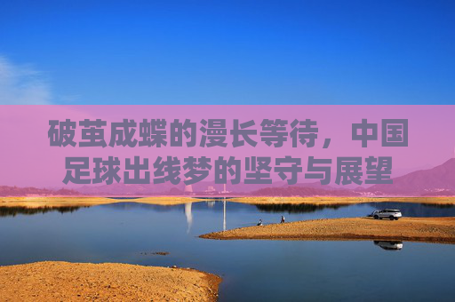 破茧成蝶的漫长等待,中国足球出线梦的坚守与展望