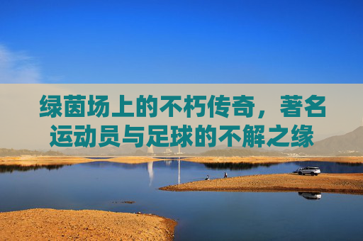 绿茵场上的不朽传奇,著名运动员与足球的不解之缘