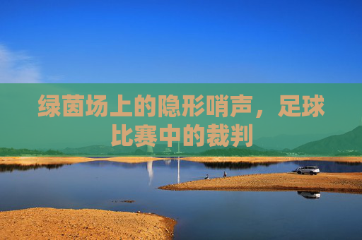 绿茵场上的隐形哨声,足球比赛中的裁判