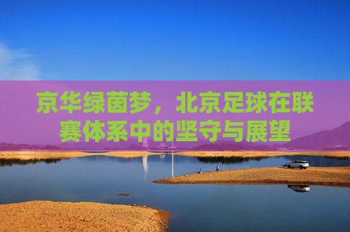 京华绿茵梦,北京足球在联赛体系中的坚守与展望