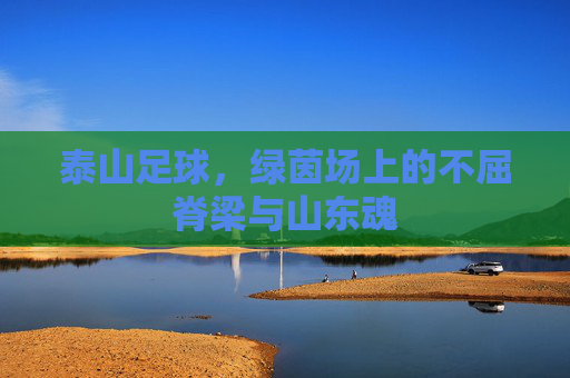泰山足球,绿茵场上的不屈脊梁与山东魂
