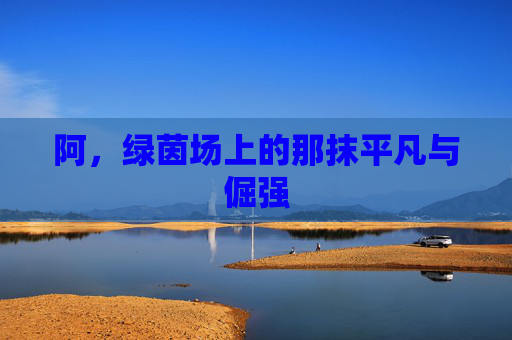 阿，绿茵场上的那抹平凡与倔强