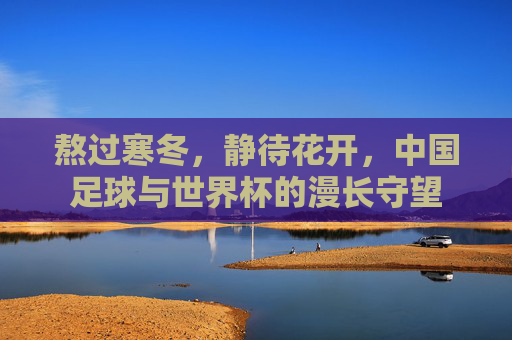 熬过寒冬,静待花开,中国足球与世界杯的漫长守望