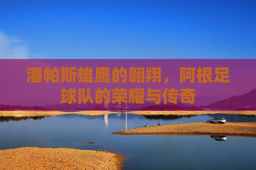 潘帕斯雄鹰的翱翔，阿根足球队的荣耀与传奇