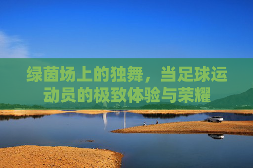 绿茵场上的独舞，当足球运动员的极致体验与荣耀