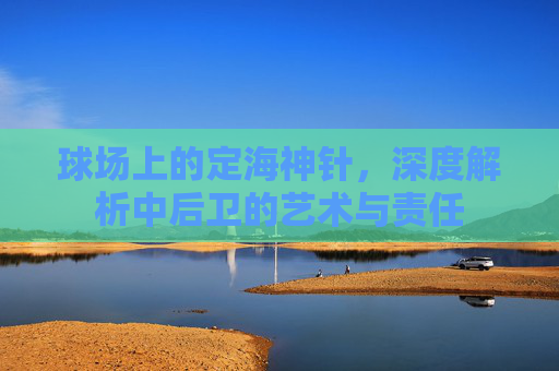 球场上的定海神针,深度解析中后卫的艺术与责任
