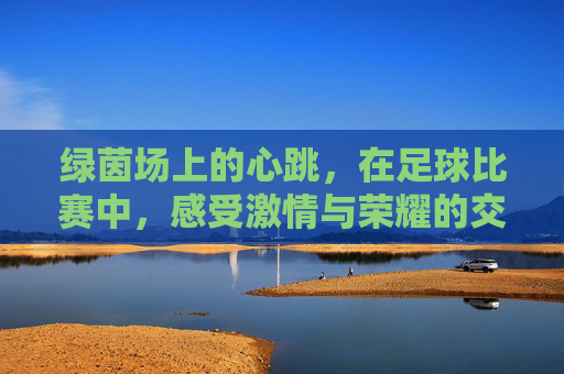 绿茵场上的心跳，在足球比赛中，感受激情与荣耀的交响