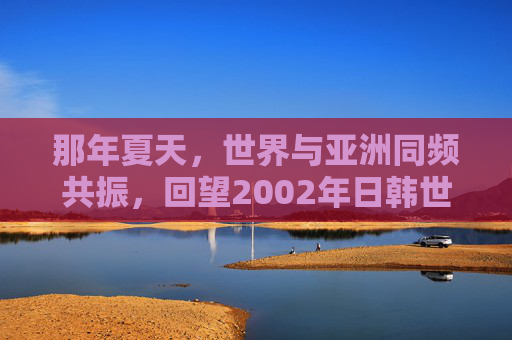 那年夏天,世界与亚洲同频共振,回望2002年日韩世界杯足球