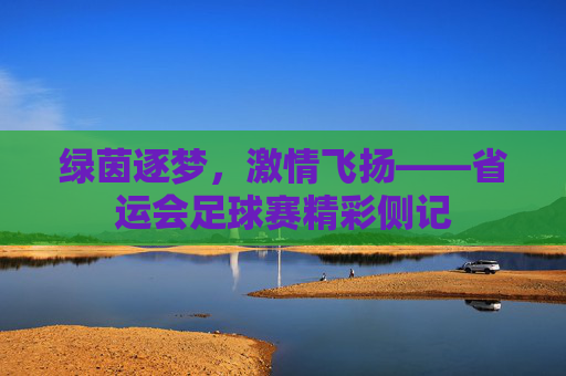 绿茵逐梦,激情飞扬——省运会足球赛精彩侧记