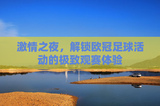 激情之夜，解锁欧冠足球活动的极致观赛体验