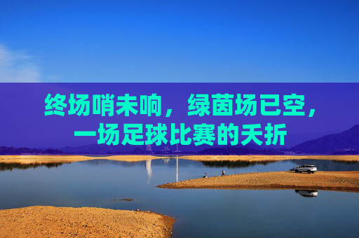 终场哨未响，绿茵场已空，一场足球比赛的夭折