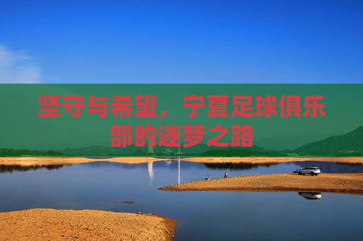 坚守与希望,宁夏足球俱乐部的逐梦之路