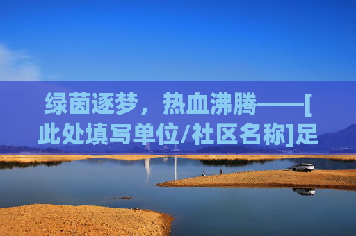绿茵逐梦，热血沸腾——[此处填写单位/社区名称]足球联赛正式拉开帷幕