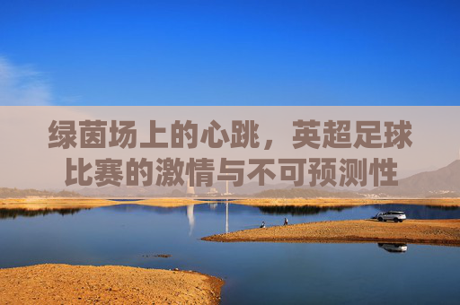 绿茵场上的心跳，英超足球比赛的激情与不可预测性