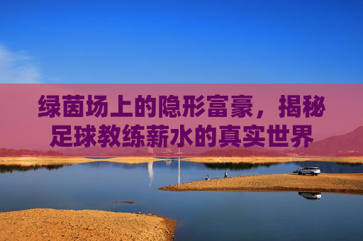 绿茵场上的隐形富豪,揭秘足球教练薪水的真实世界