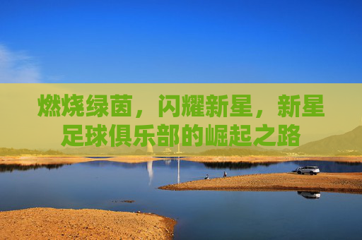 燃烧绿茵,闪耀新星,新星足球俱乐部的崛起之路
