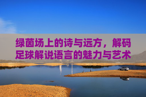 绿茵场上的诗与远方,解码足球解说语言的魅力与艺术